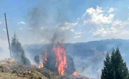 Alanya’da çıkan yangın kontrol altına alındı