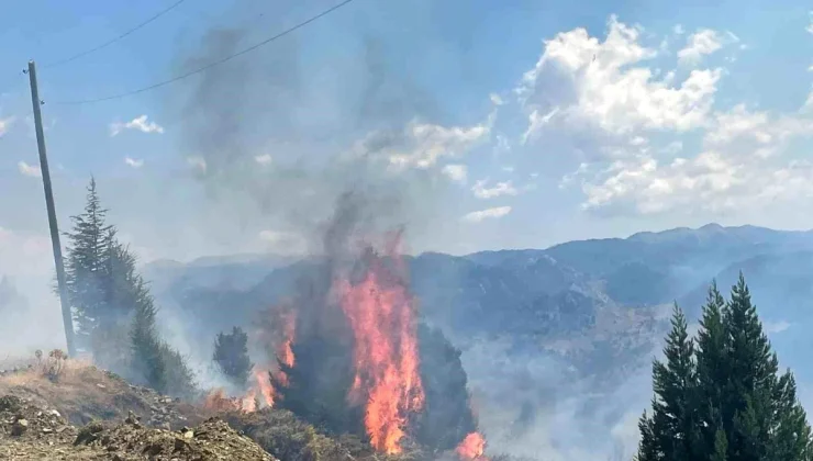 Alanya’da çıkan yangın kontrol altına alındı