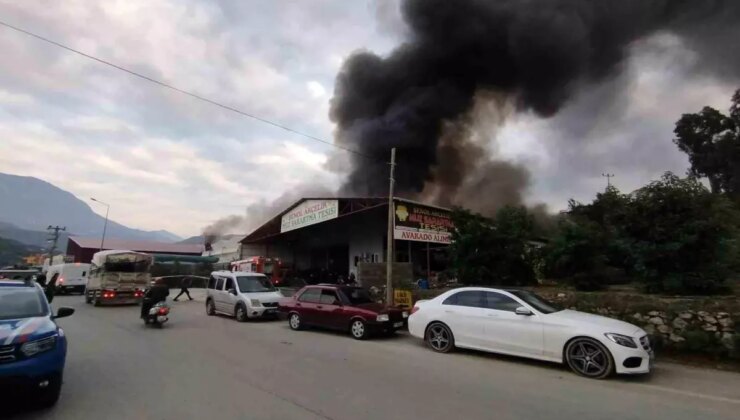 Alanya’da Mobilya Deposunda Yangın: 3 İş Yeri ve Muz Serası Zarar Gördü